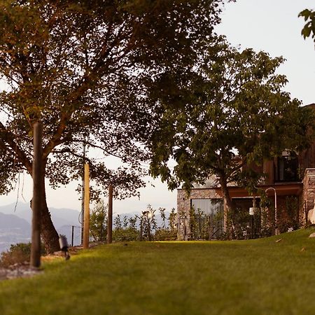 FAVAI HILLS your secret hideaway Brenzone sul Garda Eksteriør billede
